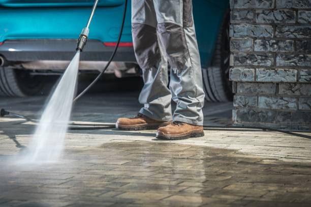 Best Winterizing Services  in East Quogue, NY