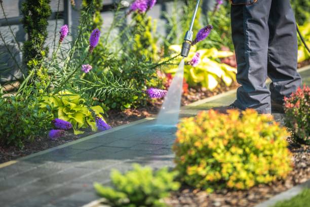 Trusted East Quogue, NY Pressure Washing Experts
