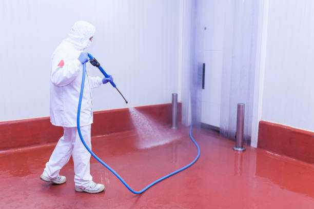 Best Patio and Deck Pressure Washing  in East Quogue, NY